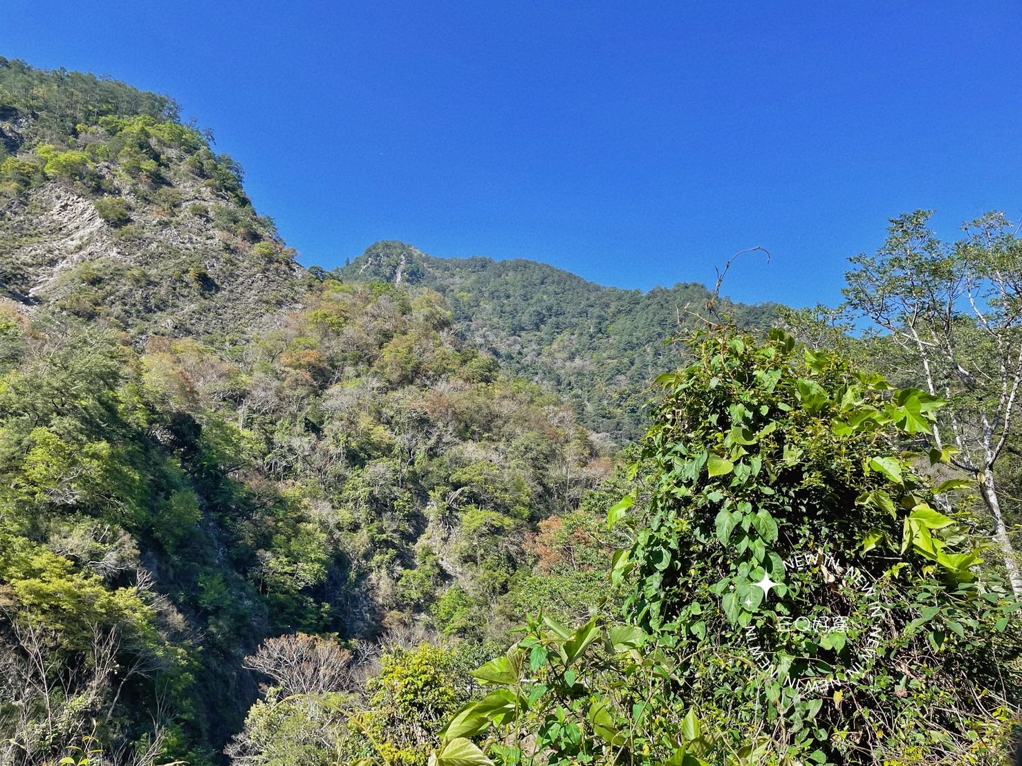 谷關 捎來步道 親民還是需要腳力的步道 泡溫泉前的小運動