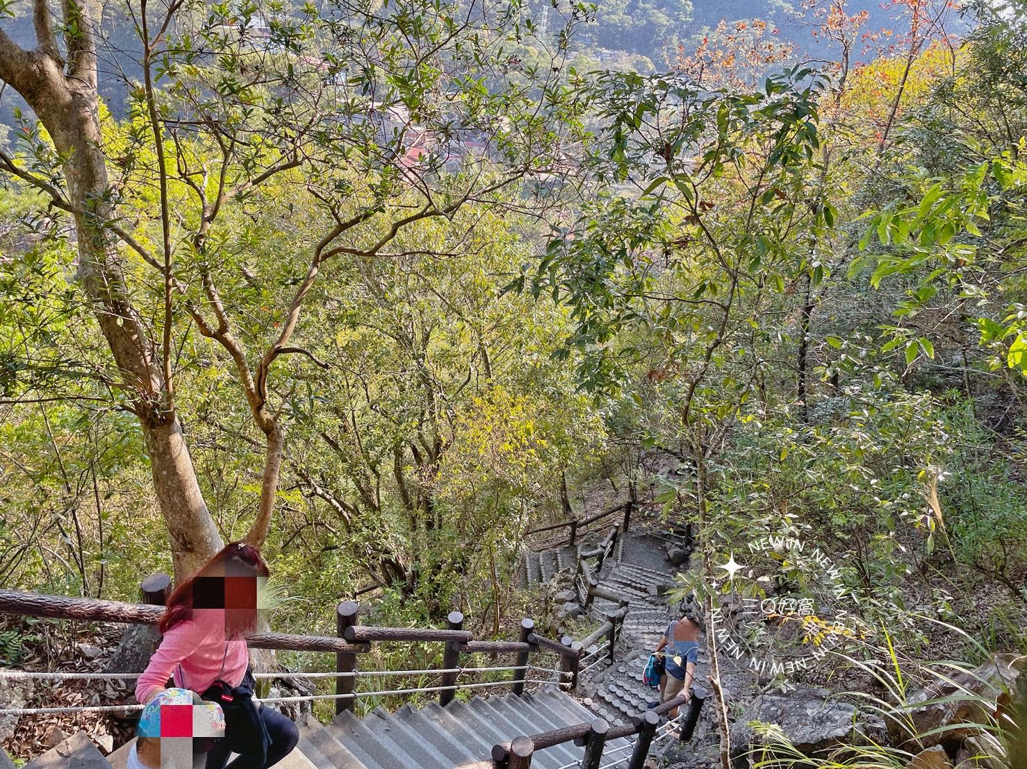 谷關 捎來步道 親民還是需要腳力的步道 泡溫泉前的小運動 - 第17張圖 谷關 捎來步道 親民還是需要腳力的步道 泡溫泉前的小運動