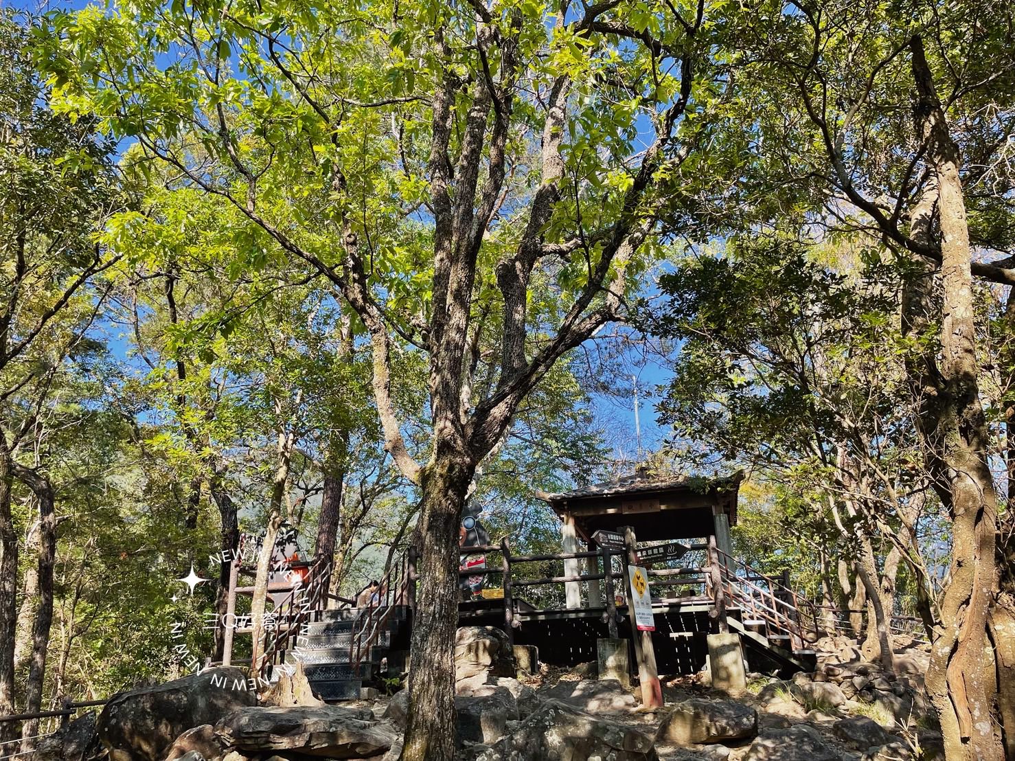 谷關 捎來步道 親民還是需要腳力的步道 泡溫泉前的小運動 - 第13張圖 谷關 捎來步道 親民還是需要腳力的步道 泡溫泉前的小運動