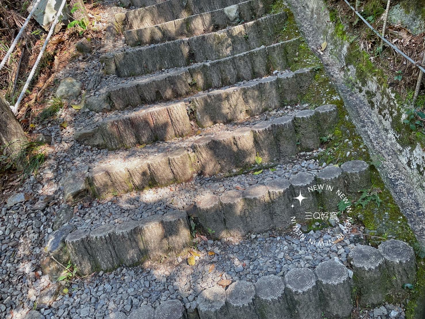 谷關 捎來步道 親民還是需要腳力的步道 泡溫泉前的小運動
