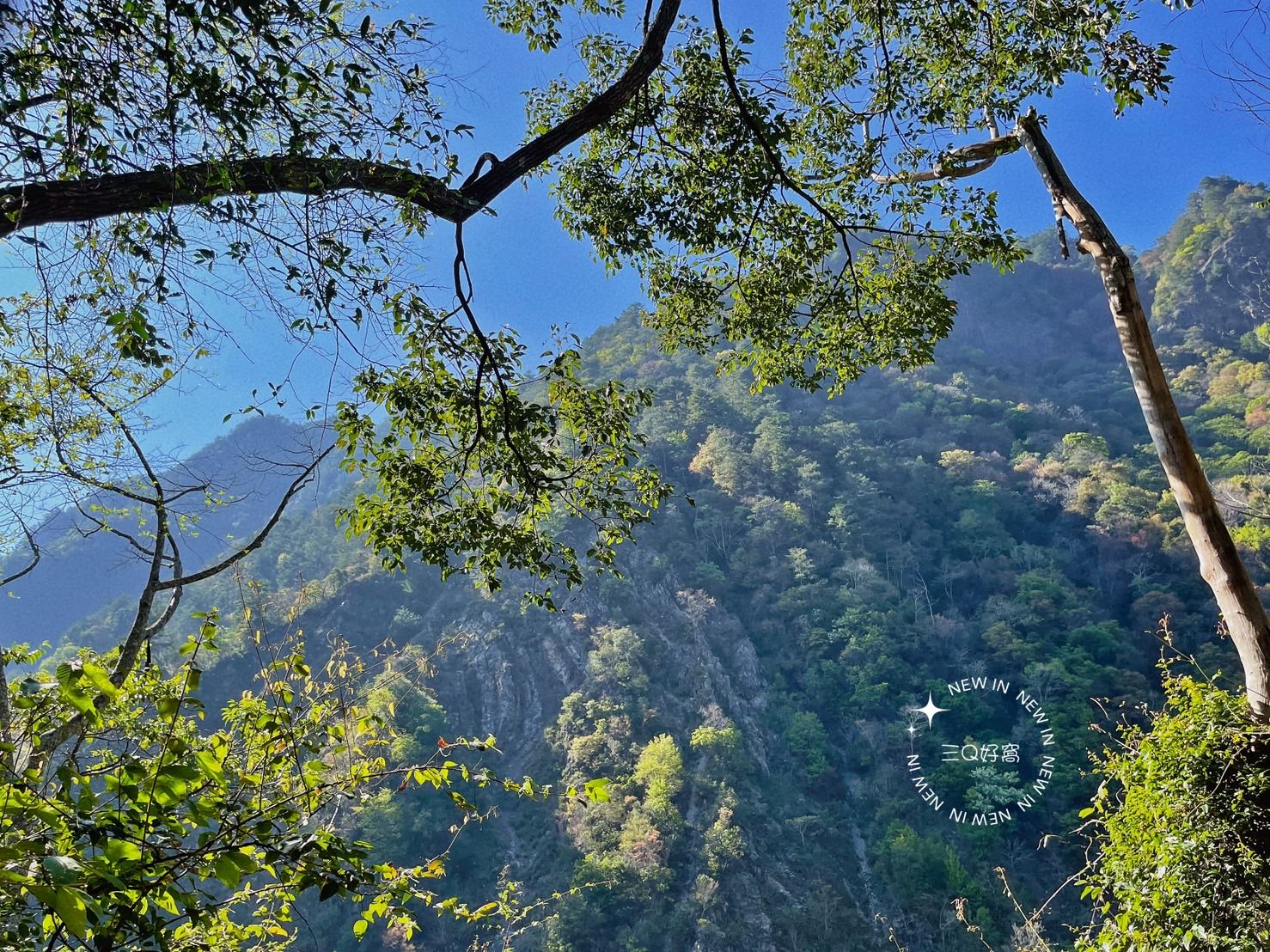 谷關 捎來步道 親民還是需要腳力的步道 泡溫泉前的小運動 - 第21張圖 谷關 捎來步道 親民還是需要腳力的步道 泡溫泉前的小運動