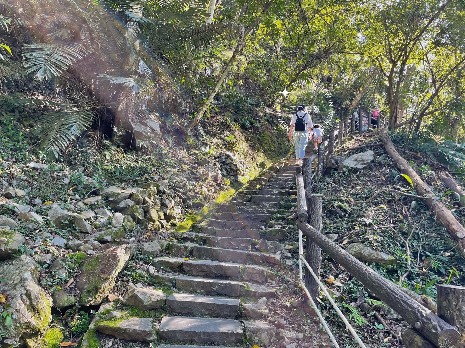 谷關 捎來步道 親民還是需要腳力的步道 泡溫泉前的小運動 - 第10張圖 谷關 捎來步道 親民還是需要腳力的步道 泡溫泉前的小運動