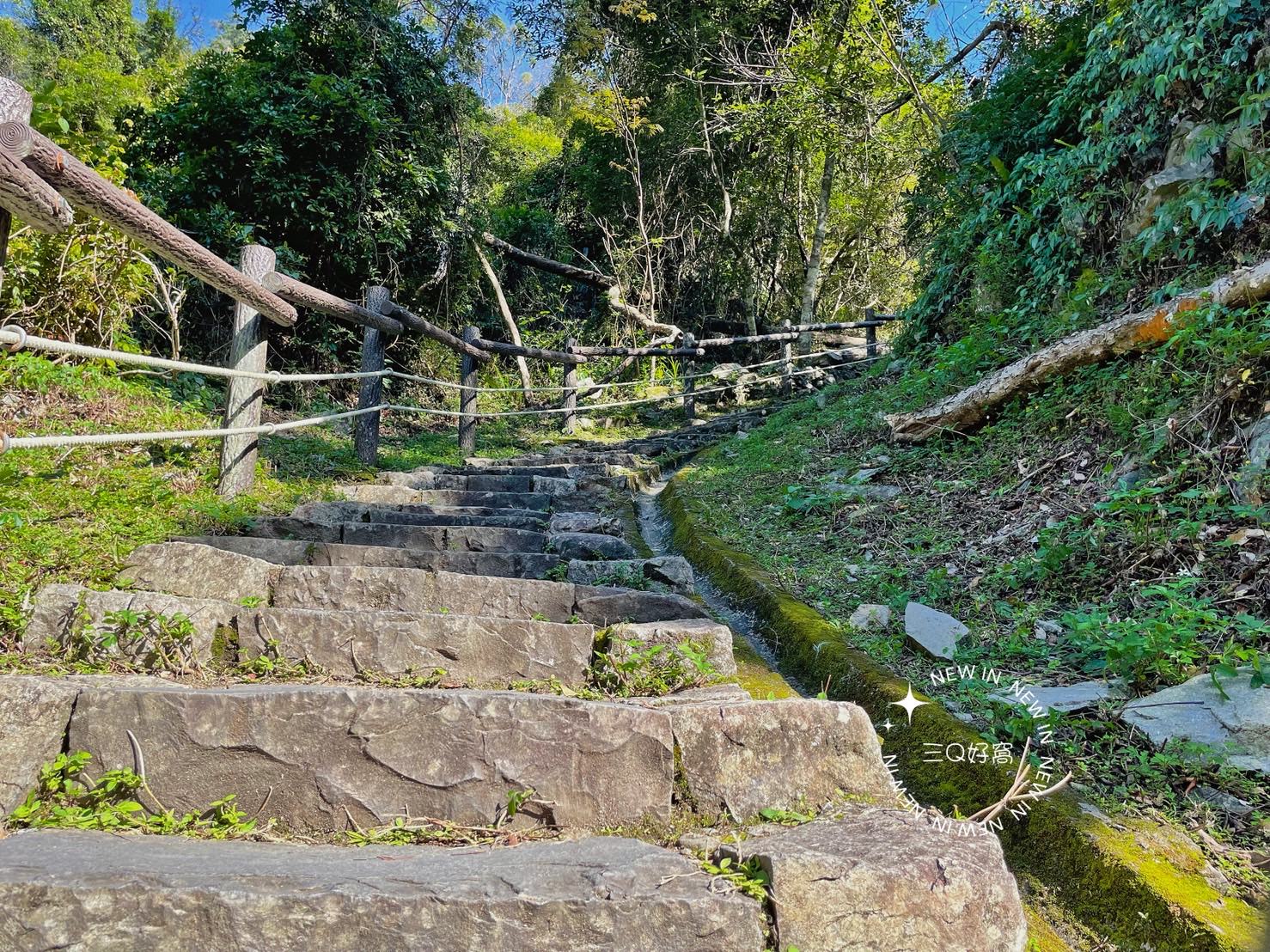 谷關 捎來步道 親民還是需要腳力的步道 泡溫泉前的小運動 - 第11張圖 谷關 捎來步道 親民還是需要腳力的步道 泡溫泉前的小運動