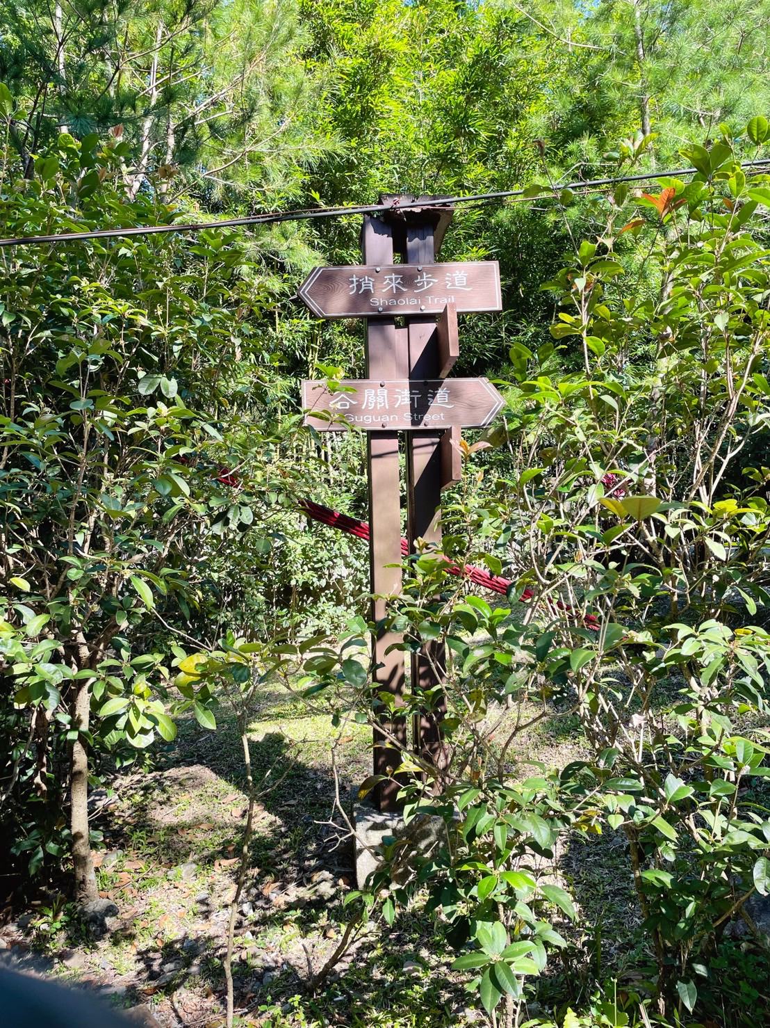 谷關 捎來步道 親民還是需要腳力的步道 泡溫泉前的小運動