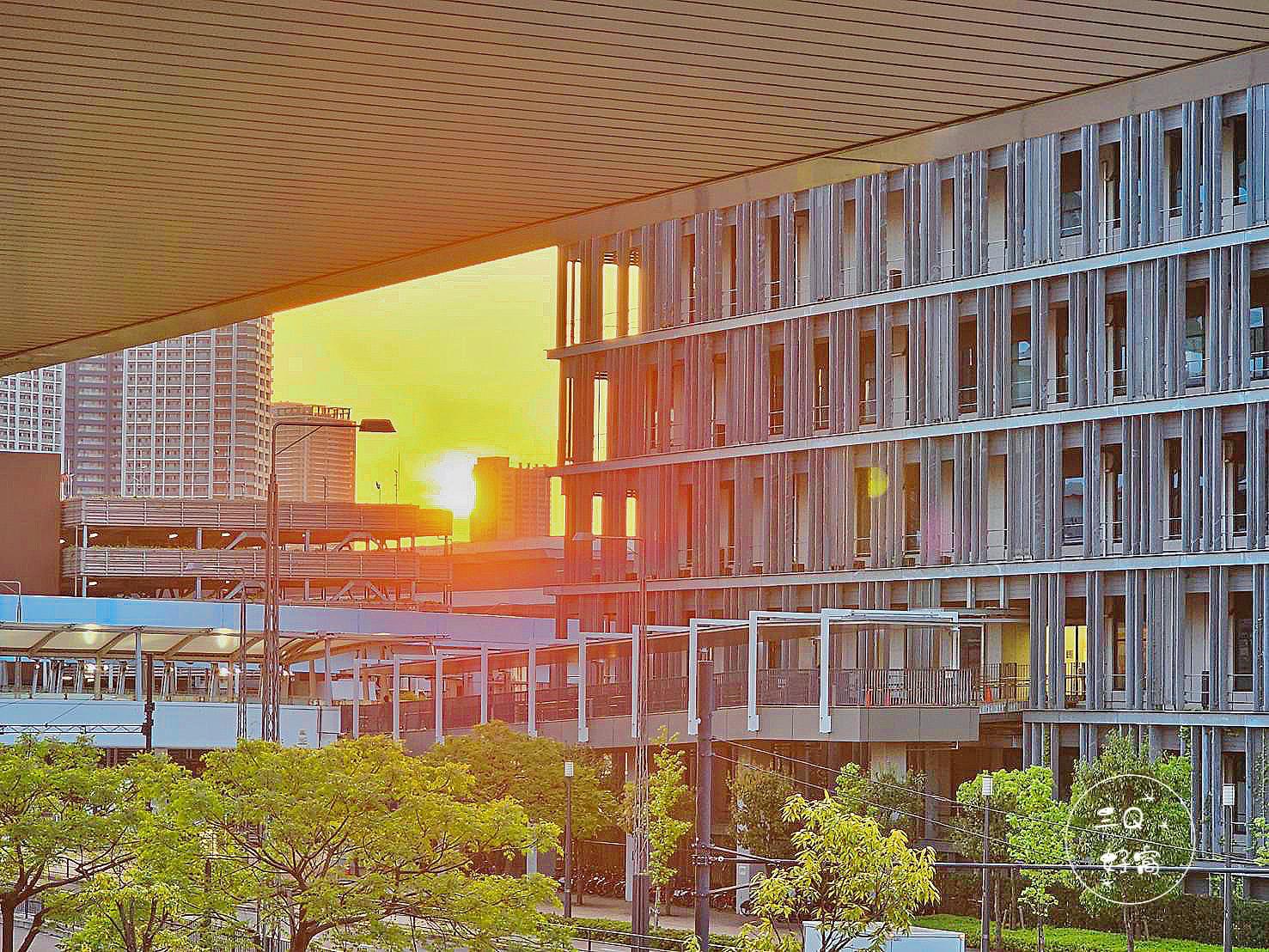 2025壽司大攻略 豐洲市場排隊名店全解析!東京自由行必吃Sushi Dai超詳實心得 - 第33張圖