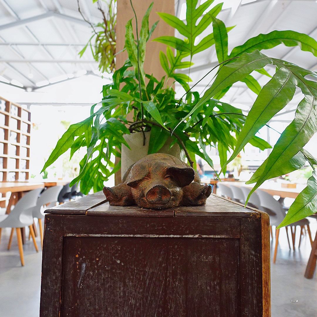 梅山景點美食全攻略 空氣圖書館旁的網美店,拍照、購物、美味一網打盡 - 第12張圖