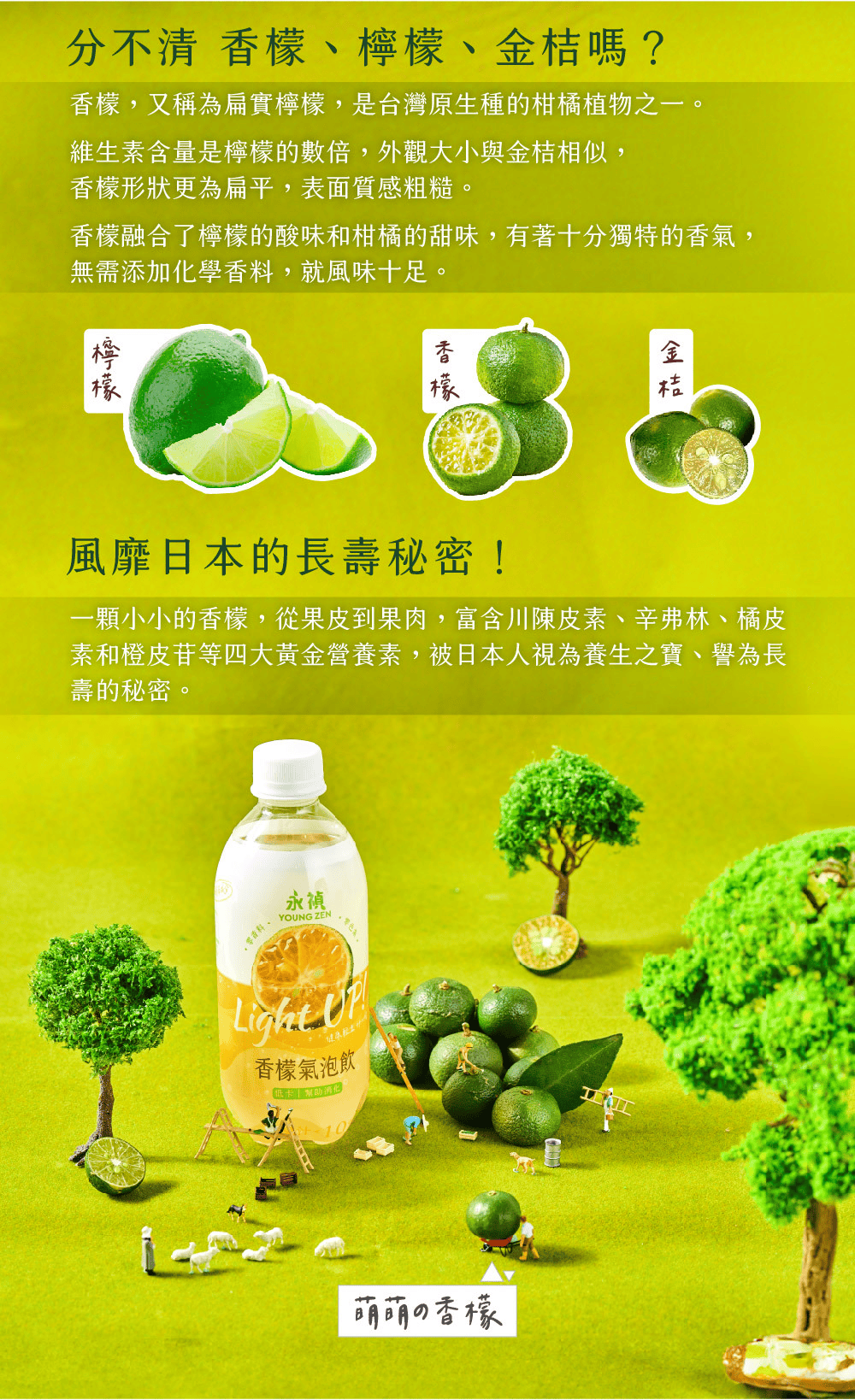 YOUNG ZEN 永禎香檬氣泡飲 健康機能飲品推薦 好喝又低卡,讓你輕鬆享受健康美味時光 - 第3張圖