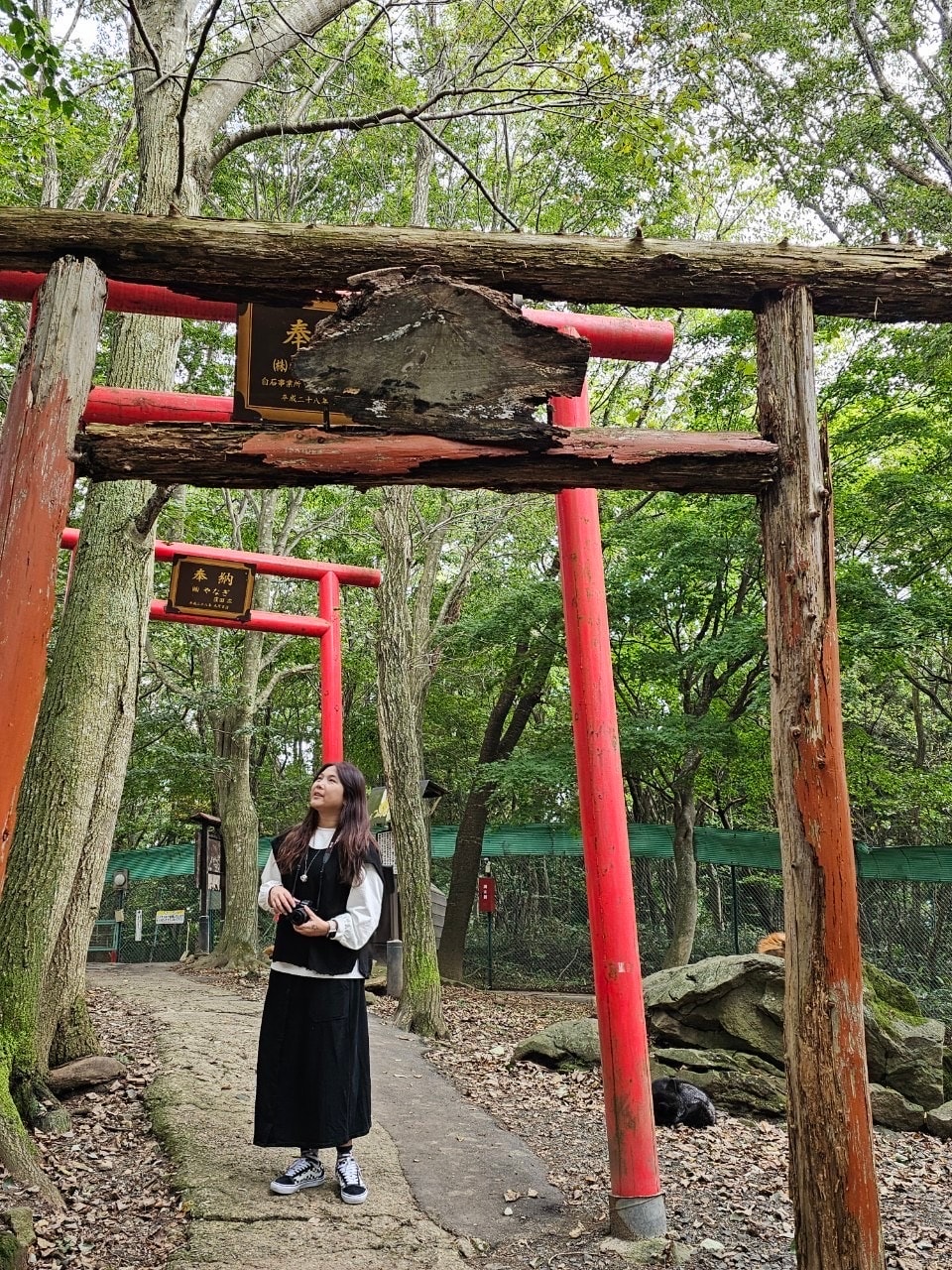宮城藏王狐狸村 東北自由行熱門景點
