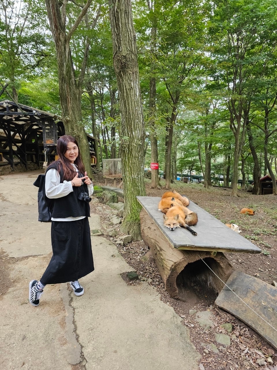 宮城藏王狐狸村 東北自由行熱門景點