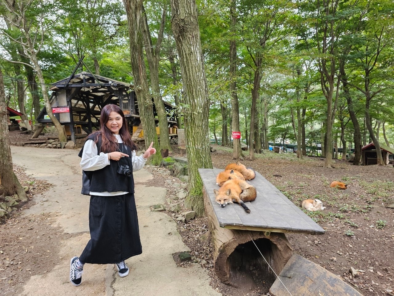 宮城藏王狐狸村 東北自由行熱門景點