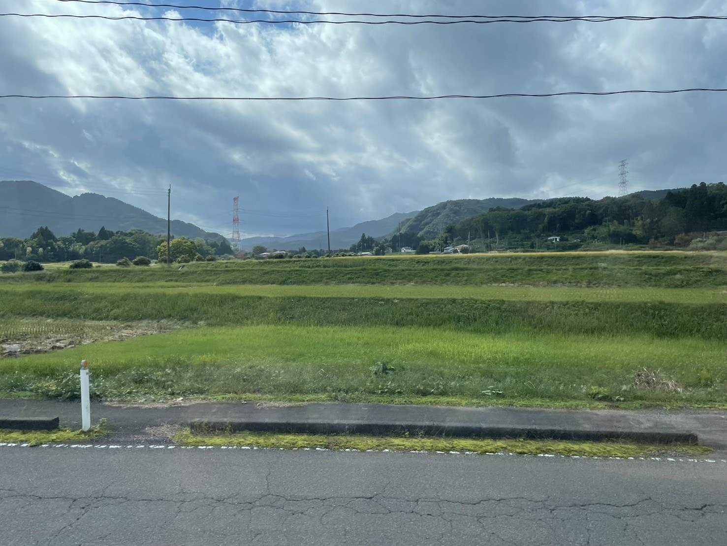 東北自由行熱門景點:宮城藏王狐狸村,與狐狸親密接觸 - 第49張圖 宮城藏王狐狸村 東北自由行熱門景點