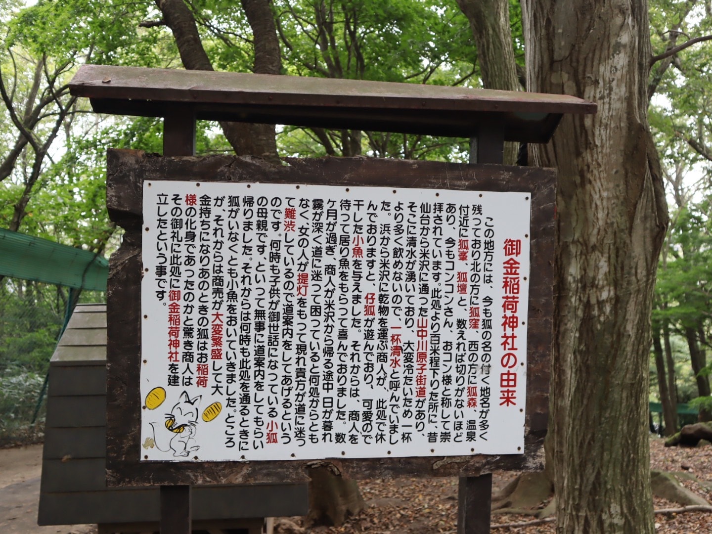 東北自由行熱門景點:宮城藏王狐狸村,與狐狸親密接觸 - 第33張圖 宮城藏王狐狸村 東北自由行熱門景點