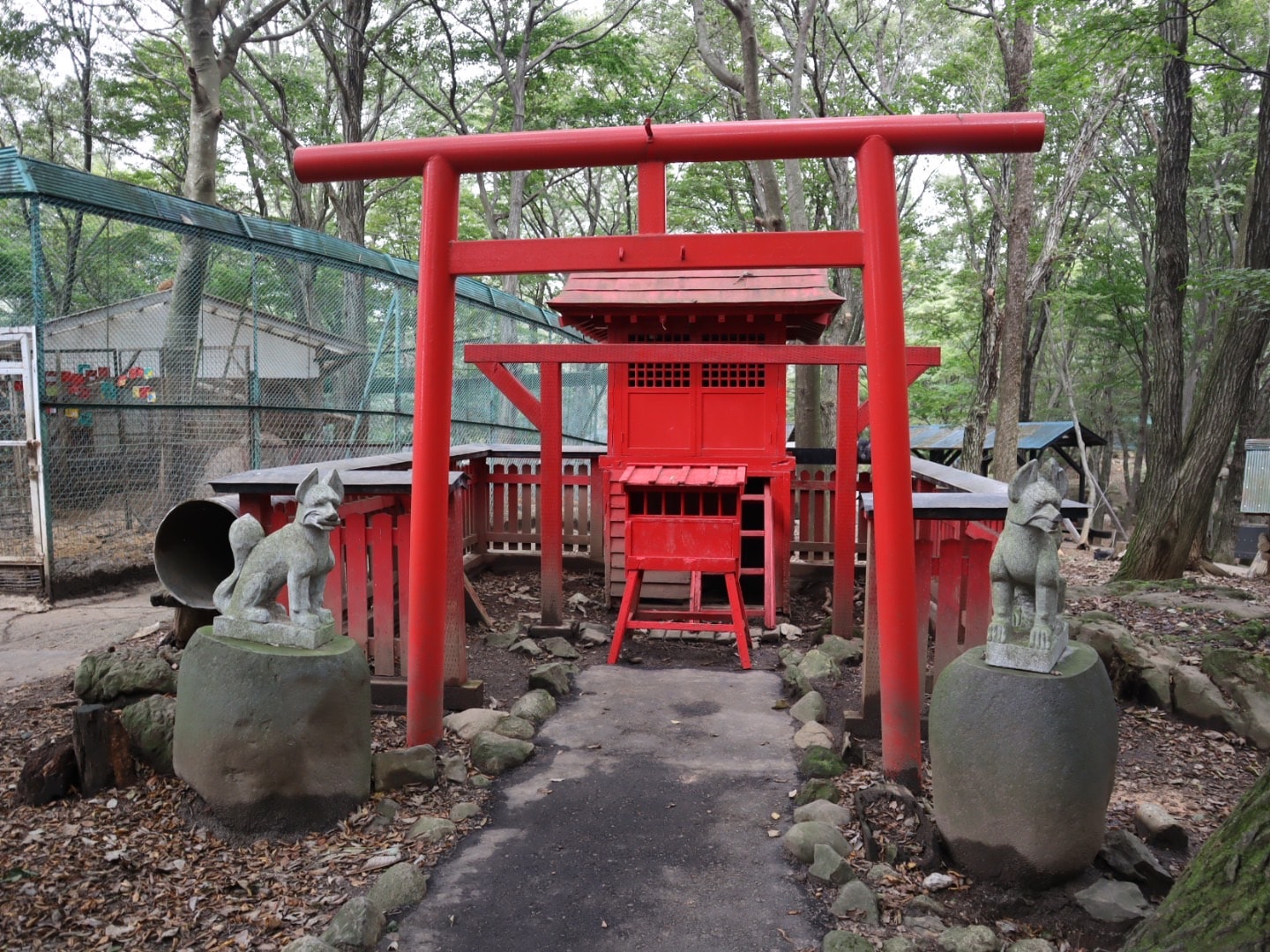 宮城藏王狐狸村 東北自由行熱門景點