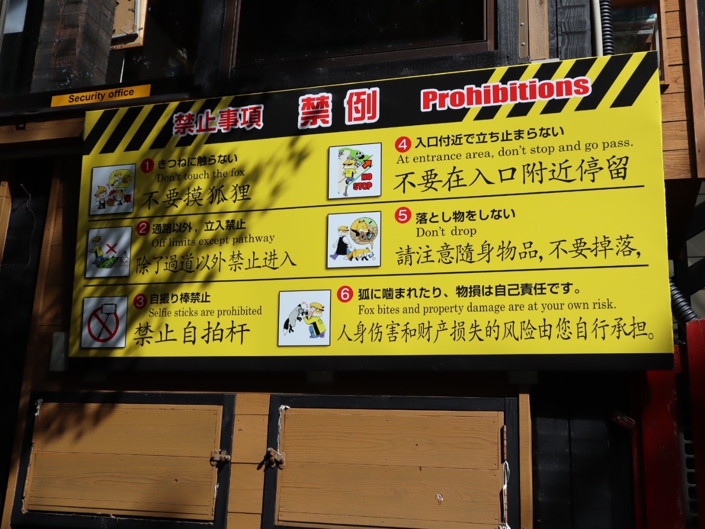 東北自由行熱門景點:宮城藏王狐狸村,與狐狸親密接觸 - 第13張圖 宮城藏王狐狸村 東北自由行熱門景點