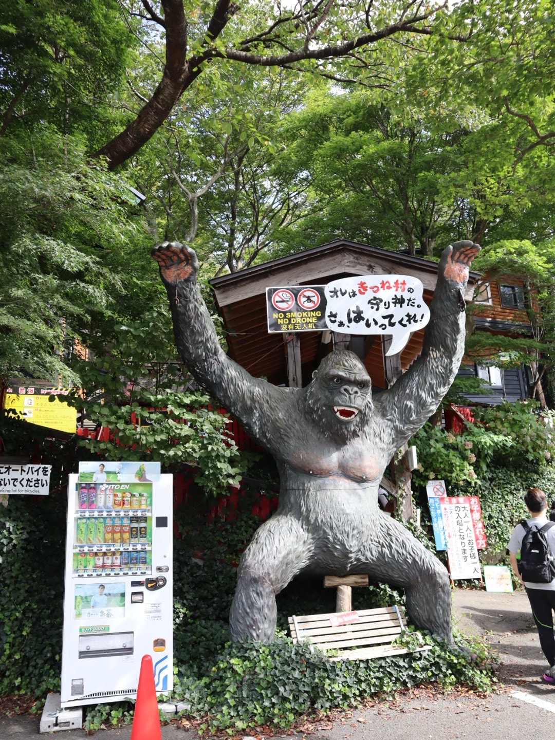 宮城藏王狐狸村 東北自由行熱門景點