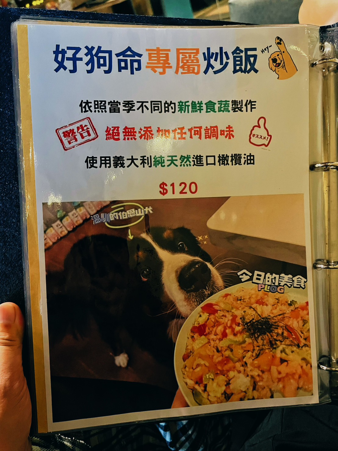 容燒居酒屋,三重竉物友善,帶毛小孩一起乾杯! - 第15張圖