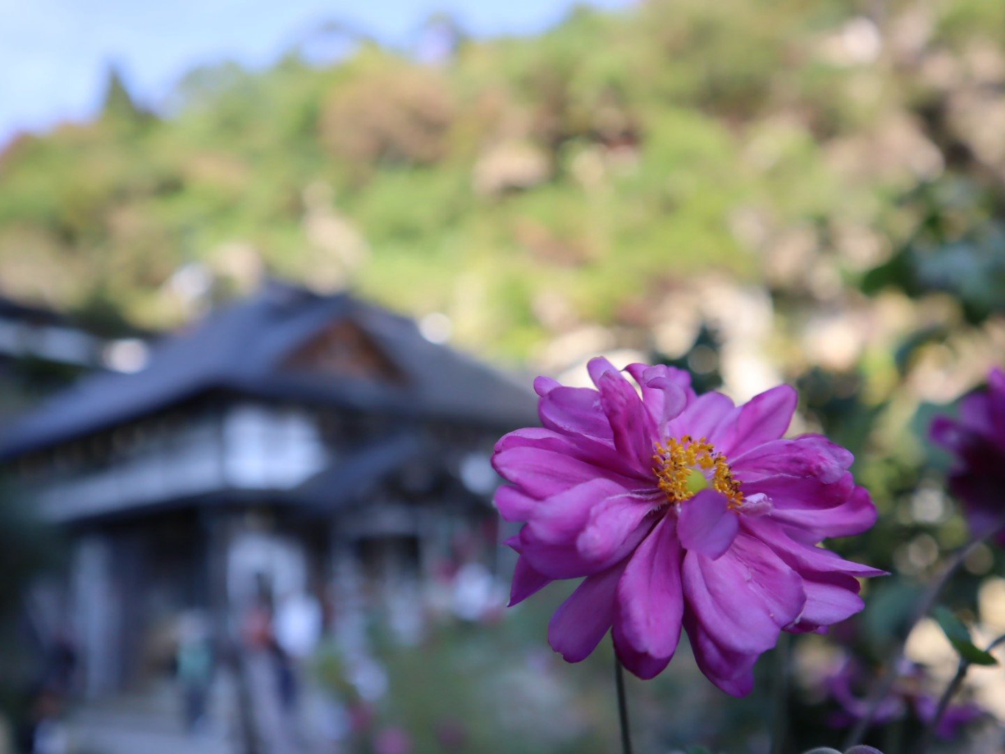 挑戰一千階!「山寺」登山體驗 東北自由行必訪絕景寺院 - 第32張圖