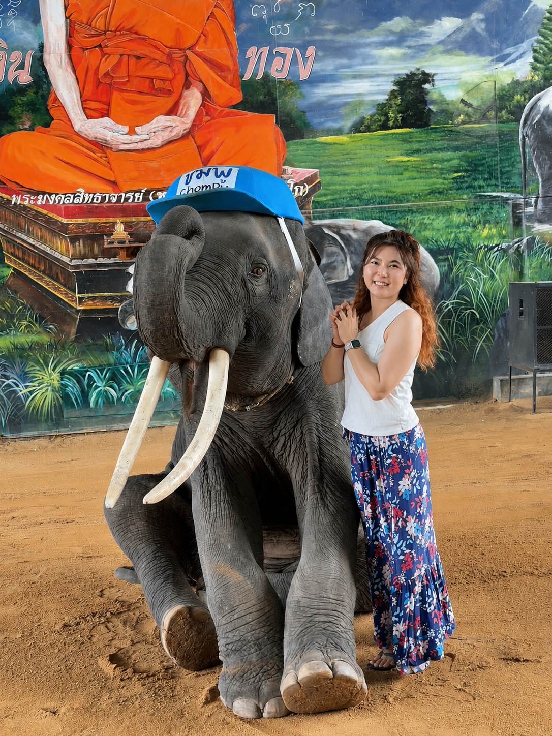 大城動物園 大象合照